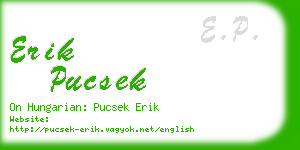 erik pucsek business card